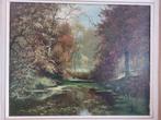 Olieverfschilderij Frans Baaijens - Herfstlandschap, Antiek en Kunst, Kunst | Schilderijen | Klassiek, Ophalen of Verzenden