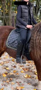 Zwart dekje met gouden steentjes, Dieren en Toebehoren, Paarden en Pony's | Dekens en Dekjes, Ophalen of Verzenden, Nieuw, Dekje