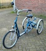 Driewieler met lage instap merk Van Raam Maxi (NIEUWSTAAT), Zo goed als nieuw, Ophalen
