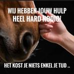 Gratis dieren, November, Meerdere dieren