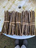 Salix triandra amandel wilg, Ophalen of Verzenden, Overige soorten