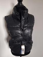 NIEUW.. Supermooie & hele aparte stoere bodywarmer!, Kleding | Dames, Bodywarmers, Verzenden, Zwart, Nieuw, Maat 36 (S)