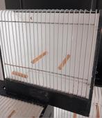 Show vogelkooi, Dieren en Toebehoren, Vogels | Hokken en Kooien, Ophalen of Verzenden, Hout, Vogelkooi