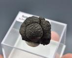 Romanechiet - Grube Adam Heber, Schneeberg, Duitsland, Ophalen of Verzenden, Mineraal