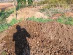 Verse paardenmest, Ophalen, Mest