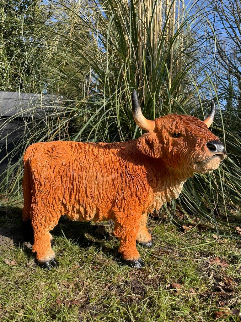 Schotse hooglander beeld boerderij rund tuin boer wei vee, Ophalen, Nieuw, Kunststof, Dierenbeeld