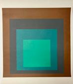 Josef Albers, Antiek en Kunst, Kunst | Litho's en Zeefdrukken, Ophalen of Verzenden