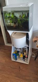 design aquarium met kast en filters, voer, heel veel toebeho, Vis