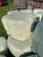 20 midibalen tekoop., Ophalen of Verzenden, Vee