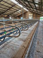Stalinrichting, ligboxen Spinder, Dieren en Toebehoren, Stalling en Weidegang