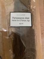 Pampasgras steel - 80 cm, Ophalen of Verzenden, Zo goed als nieuw