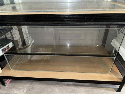 Terrarium 100x50x50 mag los weg of met spullen, Dieren en Toebehoren, Knaagdieren en Konijnen | Hokken en Kooien, Gebruikt, Kooi
