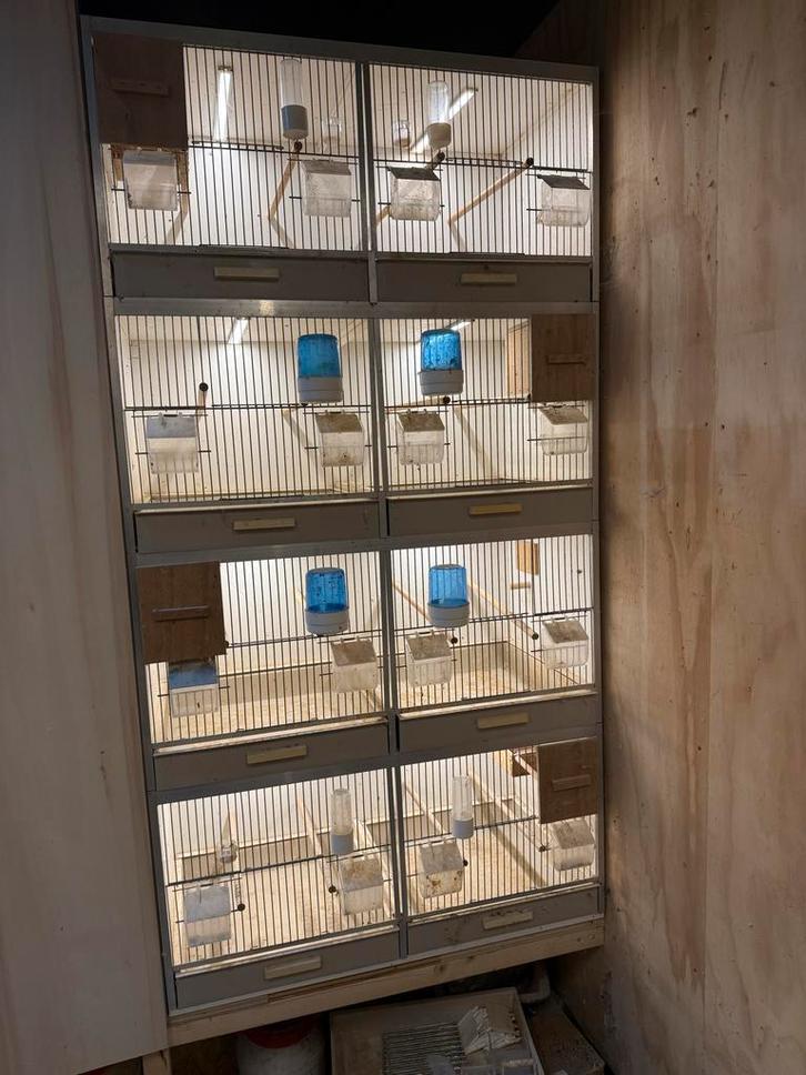 Broedkooi 154x84x41 met toebehoren, Dieren en Toebehoren, Vogels | Hokken en Kooien, Gebruikt, Broedkooi of Kweekkooi, Hout, Ophalen