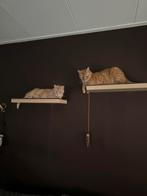 Wandplankjes voor kattenmuur, Ophalen of Verzenden, Zo goed als nieuw