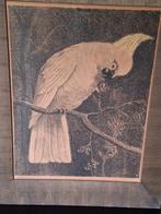 Adriaan van 't Hof - Kaketoe Litho, Antiek en Kunst, Ophalen