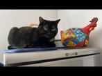 Lieve kruising schildpad/bengaal. Poes. Nieuw thuis gezocht., Dieren en Toebehoren, Katten en Kittens | Overige Katten, Poes, 3 tot 5 jaar