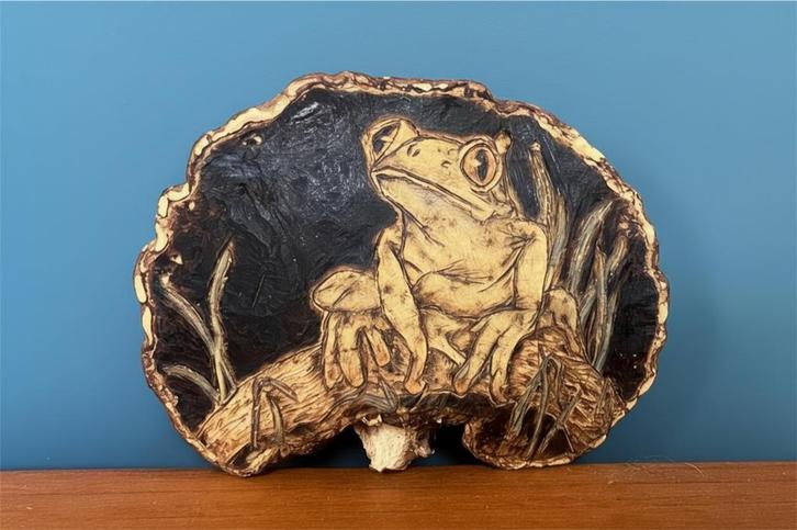 Pyrografie Zwam - Kikker, Huis en Inrichting, Woonaccessoires | Schilderijen, Tekeningen en Foto's, Nieuw, Schilderij, Minder dan 50 cm