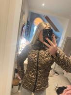 Skijas winterjas panterprint maat S, Fornarina, Ophalen of Verzenden, Zo goed als nieuw, Jack