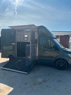 Paard B.V. Paardentaxi / Paardenvervoer / Paardentransport
