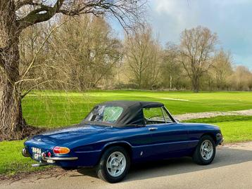 Alfa Romeo 1300 Spider Duetto 1968. Gelijk serieus verliefd! beschikbaar voor biedingen