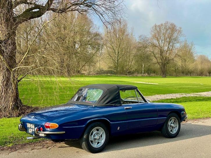 Alfa Romeo 1300 Spider Duetto 1968. Gelijk serieus verliefd!, Auto's, Alfa Romeo, Bedrijf, Spider, Benzine, Cabriolet, Handgeschakeld