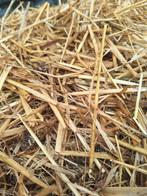 Gratis mest voor geweldige compost, Ophalen of Verzenden, Mest