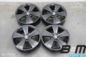 ORIGINEEL! 17 inch velgen Skoda SuperB! 3V0601025A beschikbaar voor biedingen
