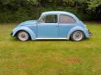 Vw kever oldtimer, Auto's, Beetle (Kever), Particulier, Te koop, Benzine