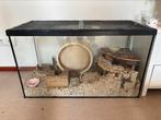 Hamsterverblijf, Zo goed als nieuw, Hamster, 75 tot 110 cm, Ophalen