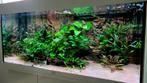 Stabiel draaiend Aquarium + meubel (Juwel Rio 180), Ophalen, Zo goed als nieuw, Leeg aquarium