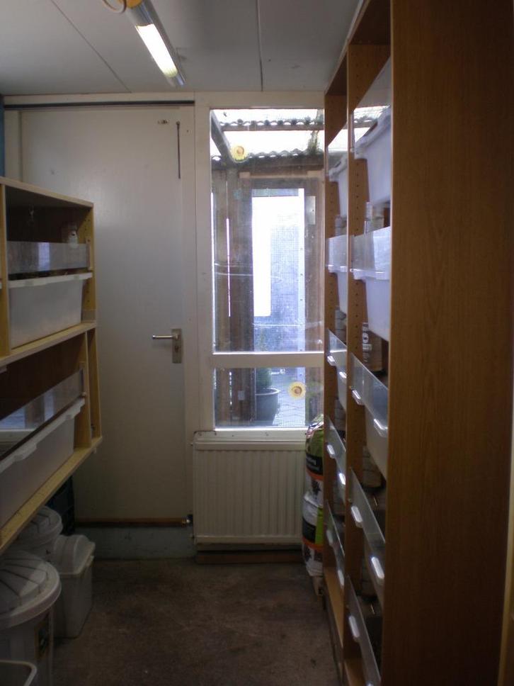 Vakantieopvang voor CAVIA'S bij Caviastal de Beestenboel, Diensten en Vakmensen, Dieren | Overige | Verzorging, Oppas en Les, Oppas