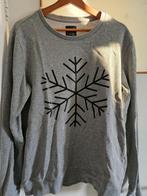 Grijze heren kersttrui (maat M van de WE) te koop, Ophalen, Gedragen, Maat 48/50 (M), Grijs