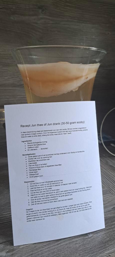 Jun Scoby 140 gr en 190gr., Diversen, Levensmiddelen, Ophalen