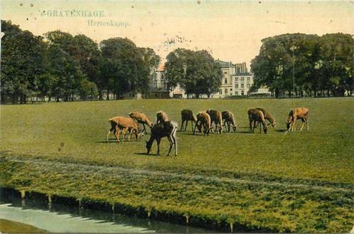 (380-289-003) Den Haag Hertenkamp, Verzamelen, Ansichtkaarten | Nederland, Zuid-Holland, Verzenden