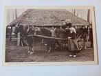 Noord-Brabant Boerenleven met Klederdracht, Ophalen of Verzenden, Voor 1920, Ongelopen, Noord-Brabant