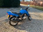 Honda CB500 leuke motorfiets!, Motoren, 2 cilinders, Motorrijbewijs A, Particulier, Naked bike