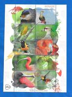 Beleef de natuur - vogels Bonaire (postzegelvel) - 2024  Uit, Postzegels en Munten, Postzegels | Nederland, Na 1940, Verzenden