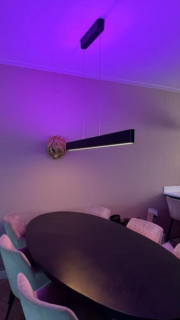 Philips Hue ensis Lamp - Slimme Verlichting beschikbaar voor biedingen