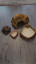 Terrarium benodigheden., Dieren en Toebehoren, Ophalen