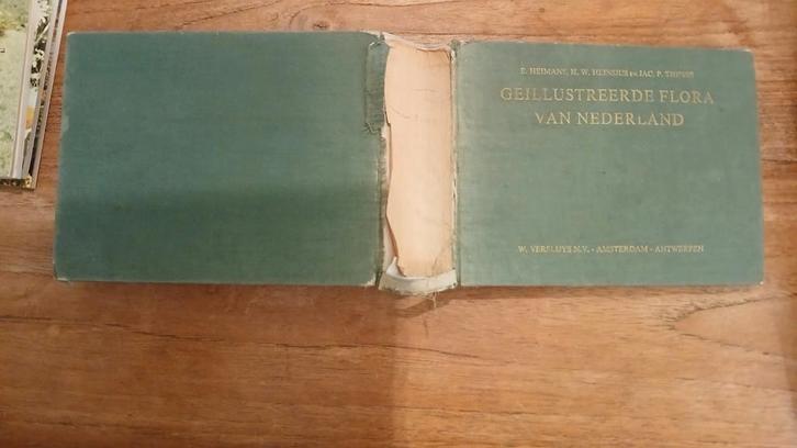 Geïllustreerde Flora van Nederland, Boeken, Natuur, Gelezen, Bloemen, Planten en Bomen, Ophalen of Verzenden