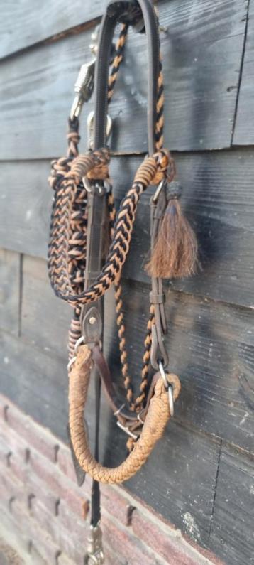 Barefoot Amber sidepull  beschikbaar voor biedingen