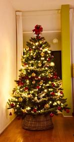 Triumph tree Forest Frosted kunstkerstboom 185 cm, Diversen, Kerst, Ophalen, Gebruikt