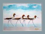 Amerikaanse Avocets, Zeevogels olieverfschilderijen, Minder dan 50 cm, Oorspronkelijke maker, Verzenden, Nieuw