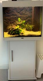 Te koop Juwel Lido 120 aquarium, Dieren en Toebehoren, Vissen | Aquaria en Toebehoren, Ophalen, Gebruikt, Gevuld zoetwateraquarium