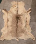 Rendier vacht, Ophalen of Verzenden, Zo goed als nieuw