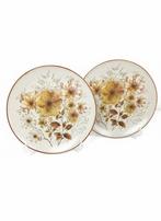 Royal Tudor Autumn Glory, Grindley of Stoke Staffordshire, Ophalen of Verzenden