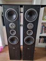 Magnat project 10, Front, Rear of Stereo speakers, Magnat, Ophalen