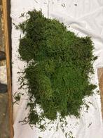 Mos voor modelspoorbaan - Grote Zak, Hobby en Vrije tijd, Modeltreinen | H0, Overige merken, Natuur, Gelijkstroom of Wisselstroom