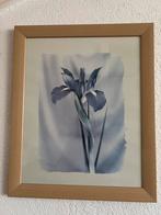 Schilderij, Ophalen of Verzenden, Zo goed als nieuw, Minder dan 50 cm, Schilderij