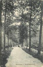 (304-022-047) Sliedrecht Boschlaan, Verzamelen, Ansichtkaarten | Nederland, Verzenden, Zuid-Holland